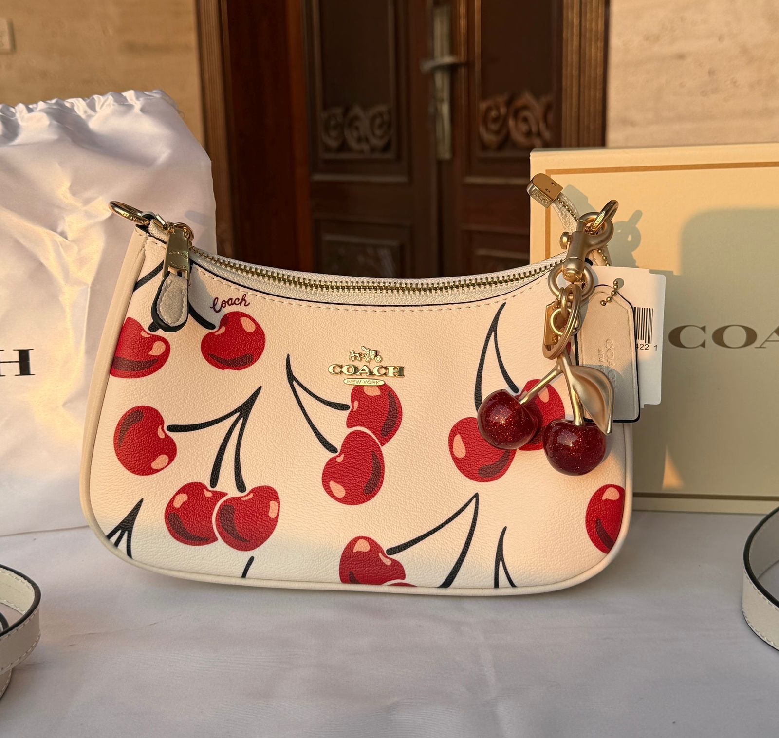 COACH Teri Signature Canvas Shoulder Bag