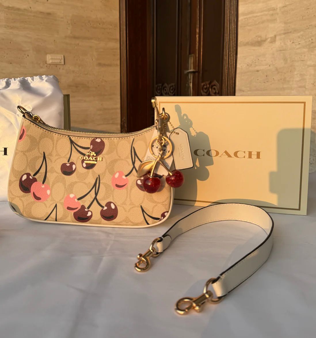 COACH Teri Signature Canvas Shoulder Bag