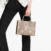 Louis Vuitton OnTheGo PM Leather Handbag Premium Quality